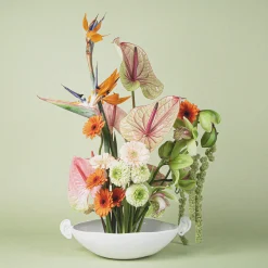 Bol D'Oreille A Bruit Blanc