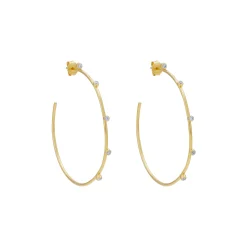 Boucles D'Oreilles Creoles Razzle Dazzle