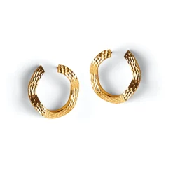 Boucles D'Oreilles Ecorce Doree
