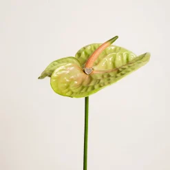 Chevaliere Coeur D'Amour Nacre