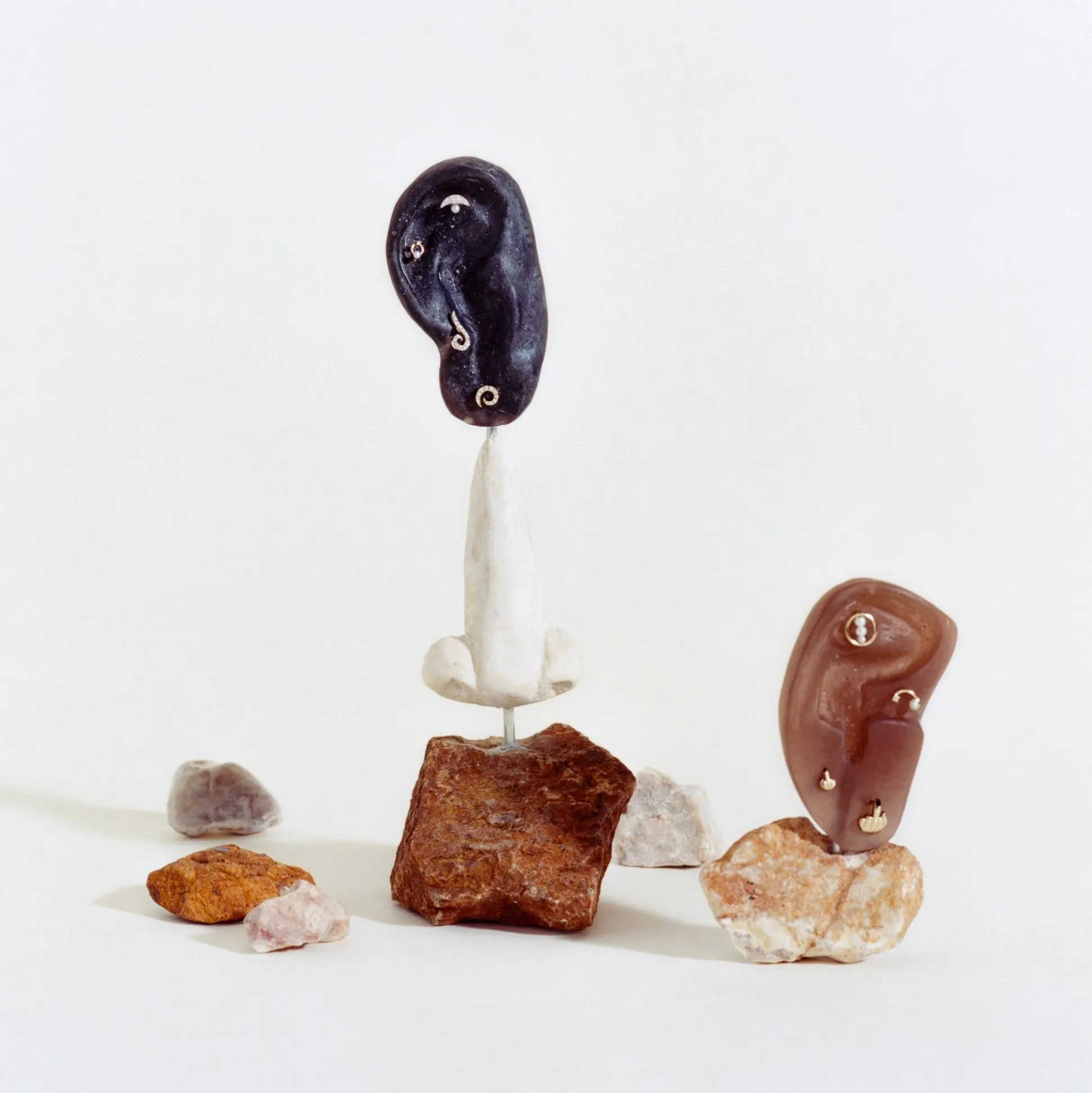 Francais Pour Bonne Nuit Stud