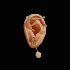 Goujon De Fous De Rubis