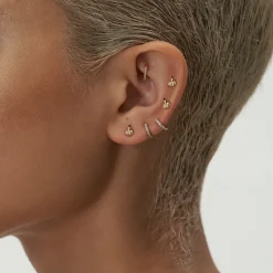 Goujon Filete Francais Pour La Bonne Nuit