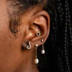 Goujon Tourbillonnant