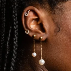 Goujon Tourbillonnant