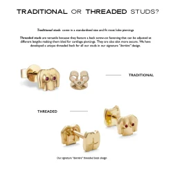 Goujon Tourbillonnant