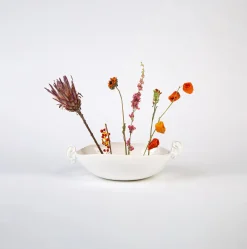 Mini Bol D'Oreille A Bruit Blanc